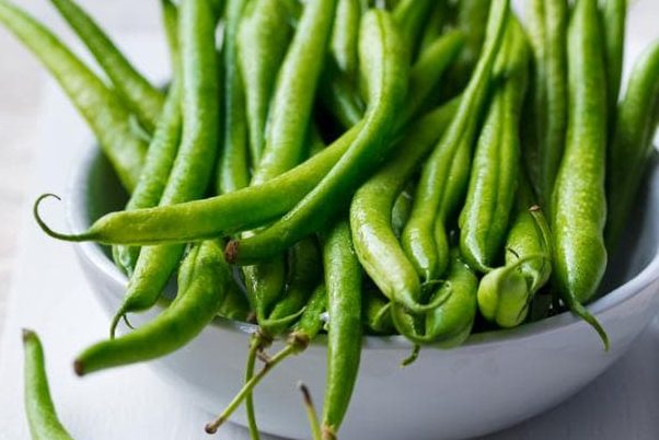 green beans | Sellers at reasonable prices green beans