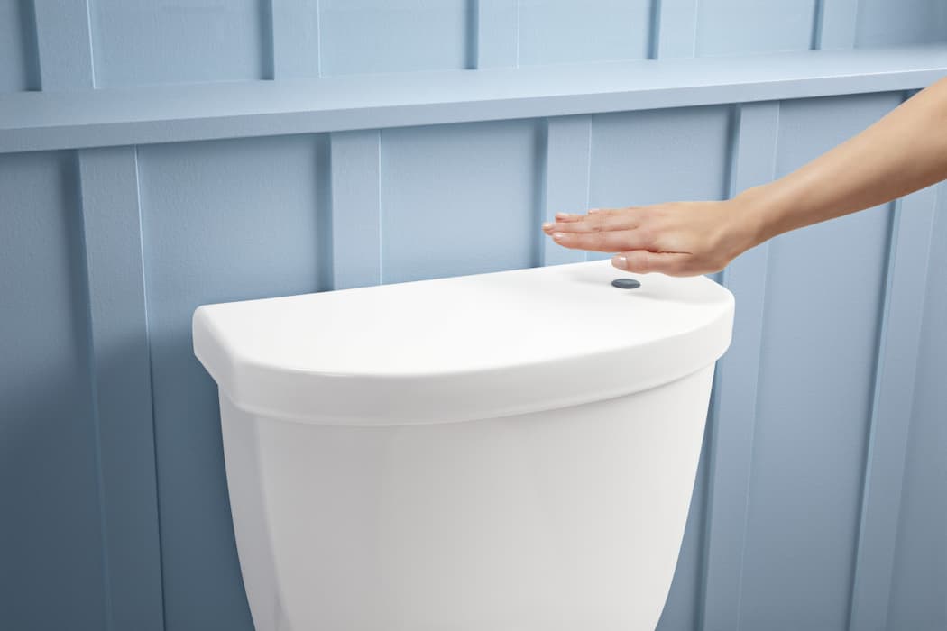 Buy Automatic Flushing Toilet Types + Price