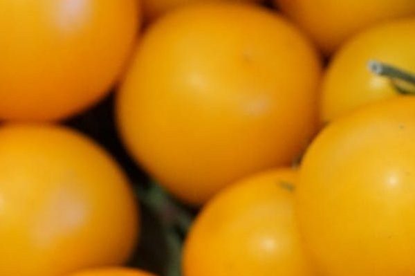 Yellow grape tomatoes supply shortage uk