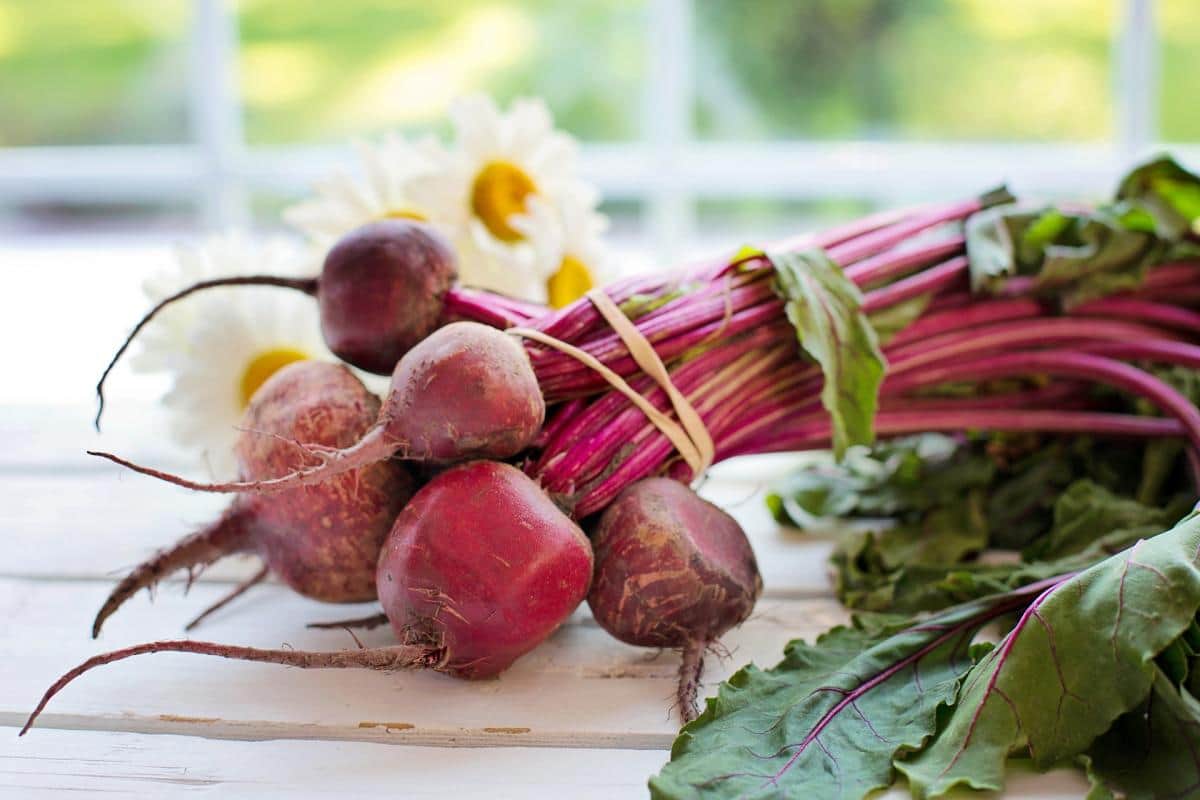 beets meaning varieties side effects