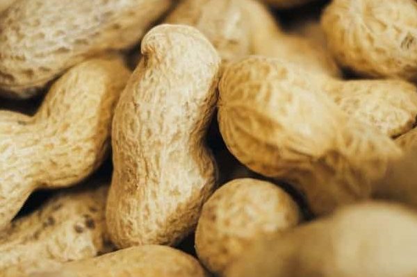 Getting to know valencia peanut + the exceptional price of buying valencia peanut