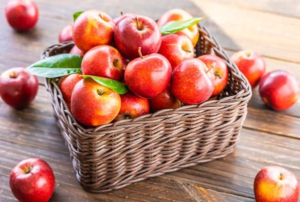 Red apple fruit export + market