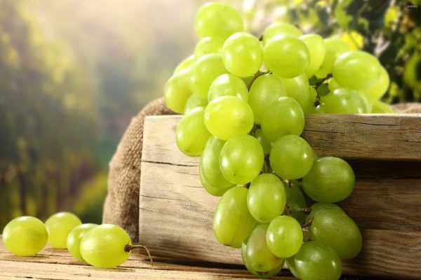 Japanese green grapes price
