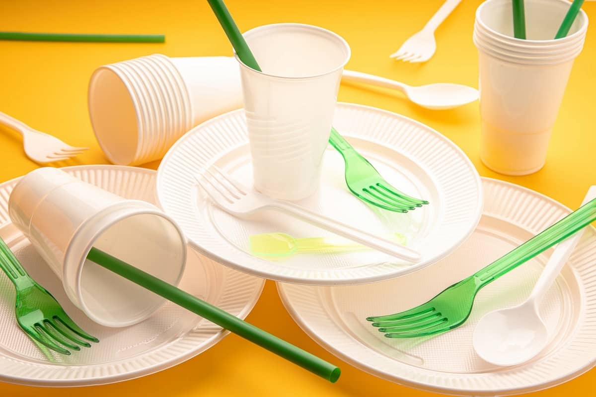 Buy All Kinds of Biodegradable Disposable Plates + Price