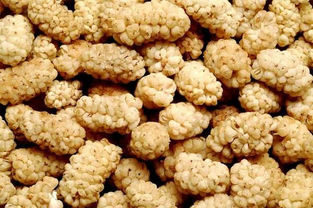 Dried white mulberries Purchase Price + Photo