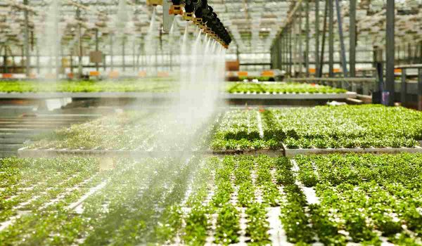 buy greenhouse rainwater harvesting system + great price