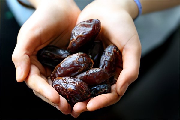 what is rabbi dates  + purchase price of rabbi dates