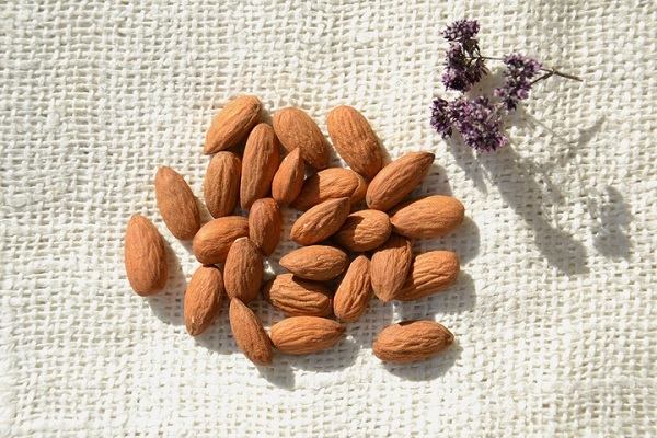Introduction of almond with highest oil + Best buy price