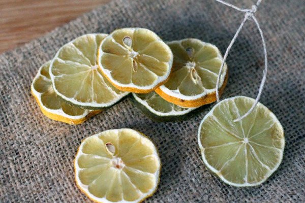 High quality dried lemon price on market