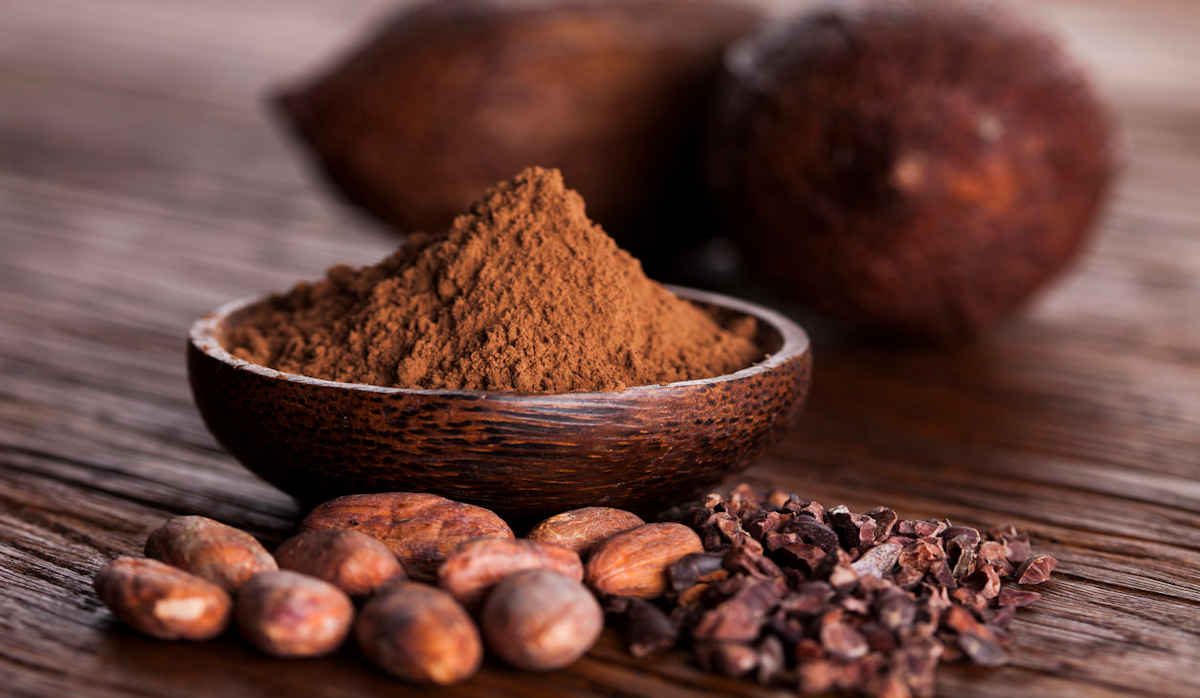 Price healthiest cocoa beans+ Wholesale buying and selling