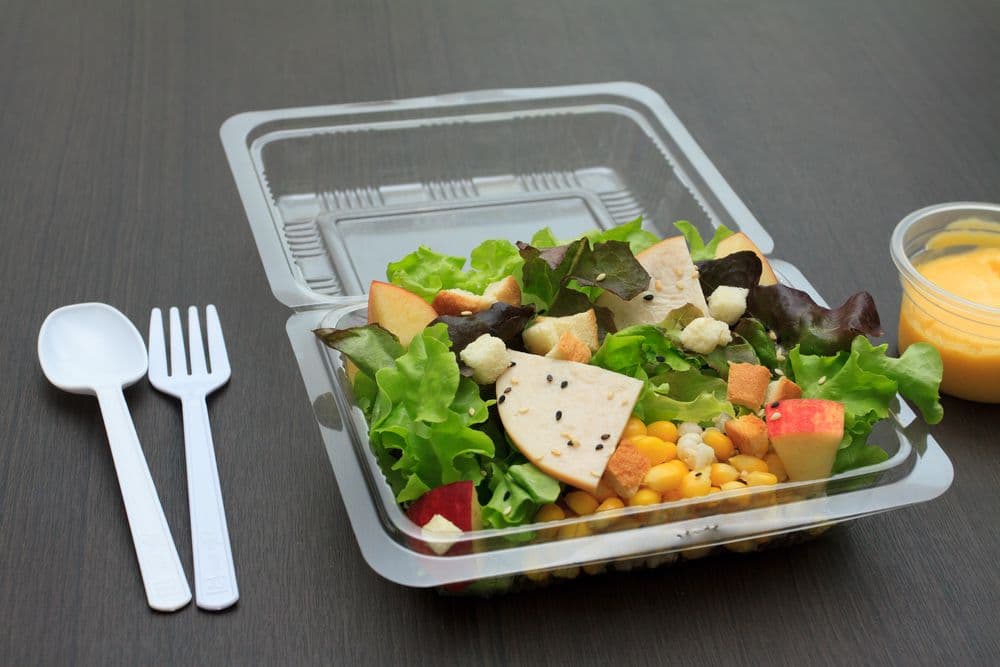 Disposable containers for food purchase price + picture