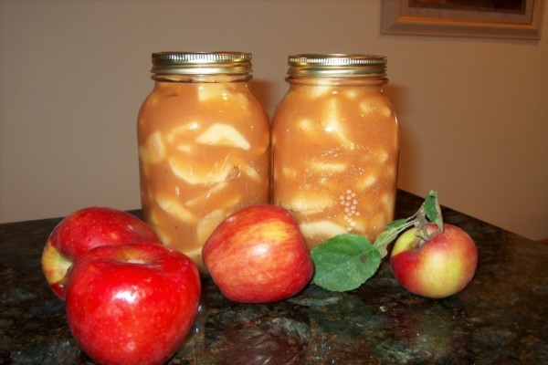 Cheap Pricing Canned Apple| buy at a cheap price