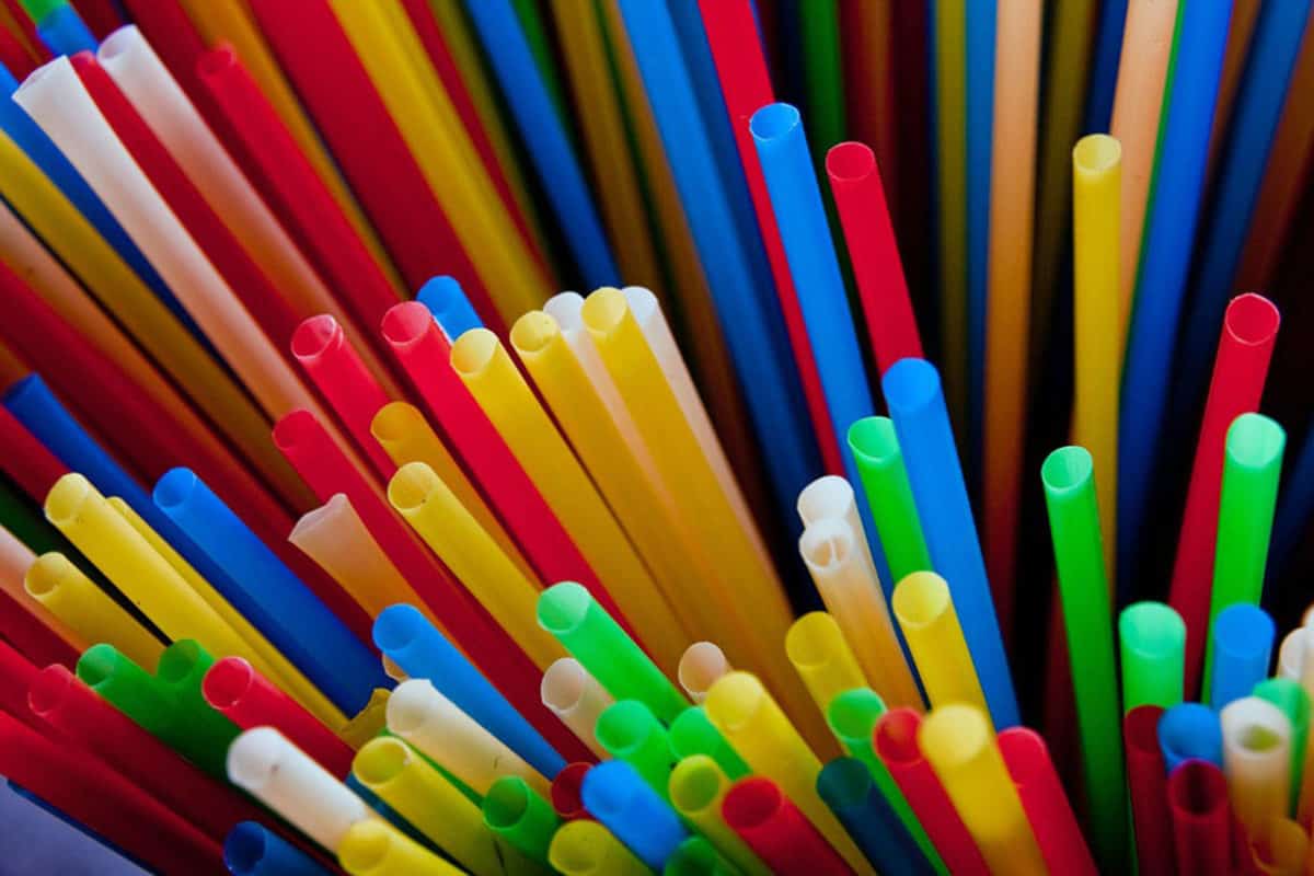 Purchase And Day Price of Disposable Drinking Straws