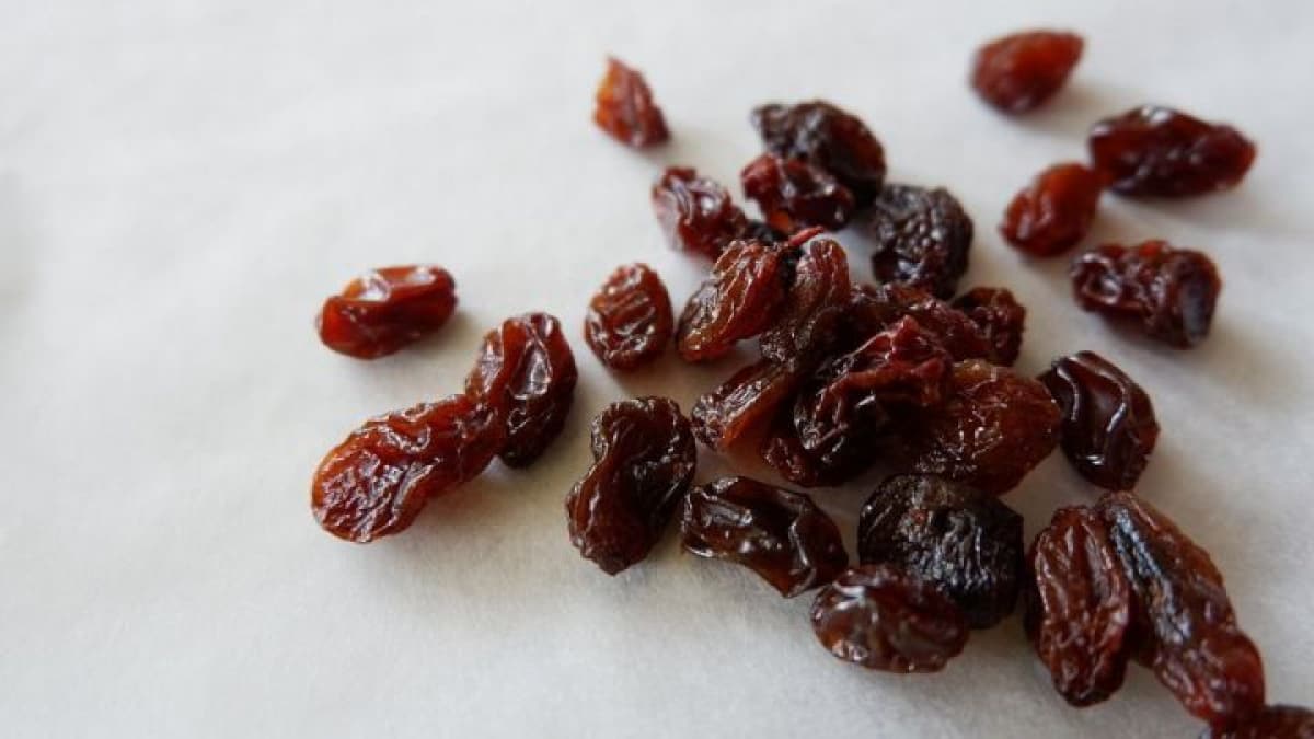 raisins sorting machine Purchase Price + Quality Test