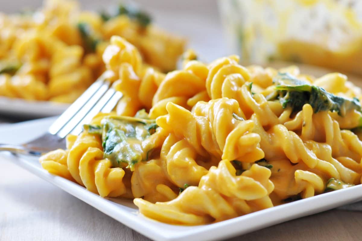 why twisted macaroni noodles recipe is so popular