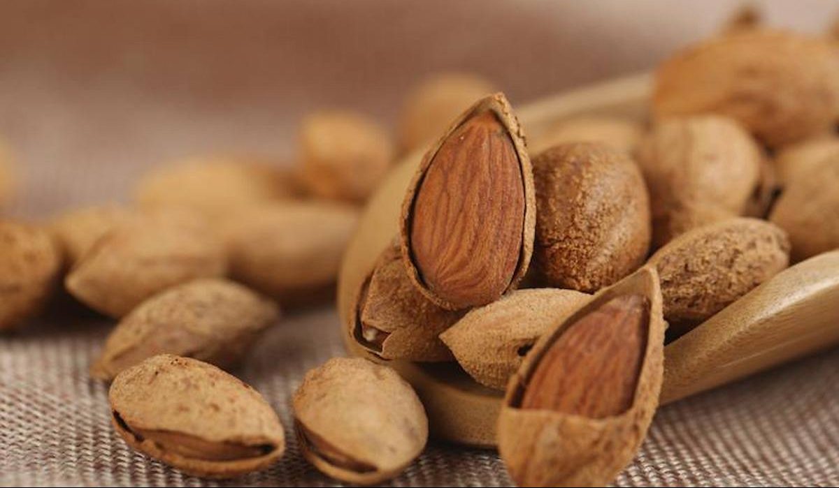 Price Almond Hull + Wholesale buying and selling