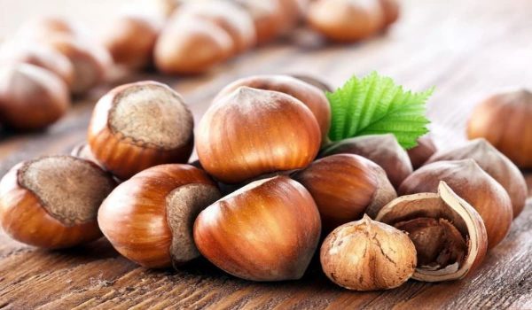 Products made from Hazelnut + Purchase Price, Use, Uses and Properties