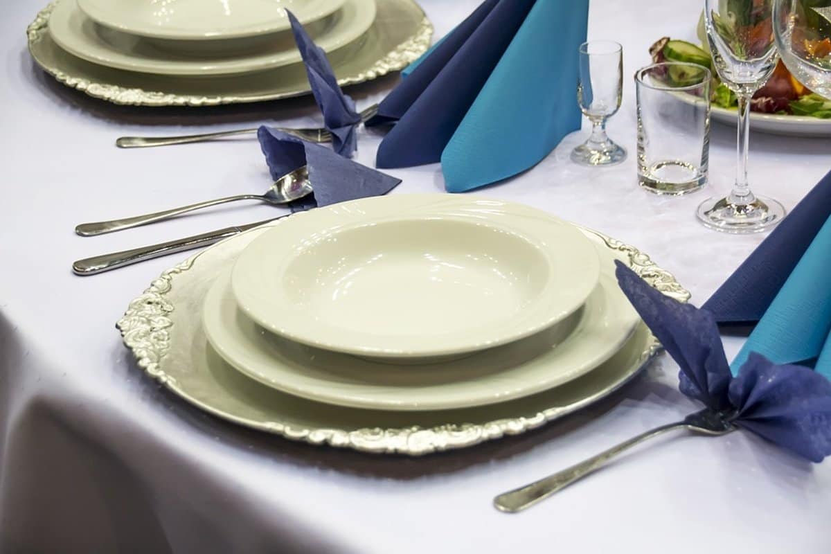 The best ceramic dinner plates + Great purchase price