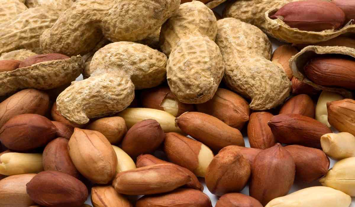 Buy and Current Sale Price of airborne peanut allergy reddit
