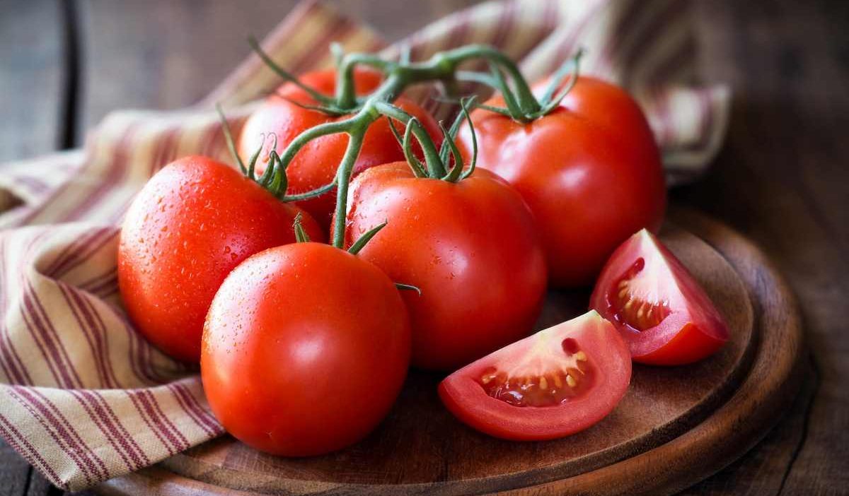 Roma Tomatoes purchase price + excellent sale