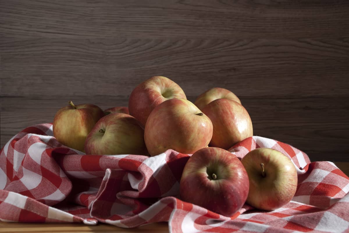 Fuji apple turnover recipe