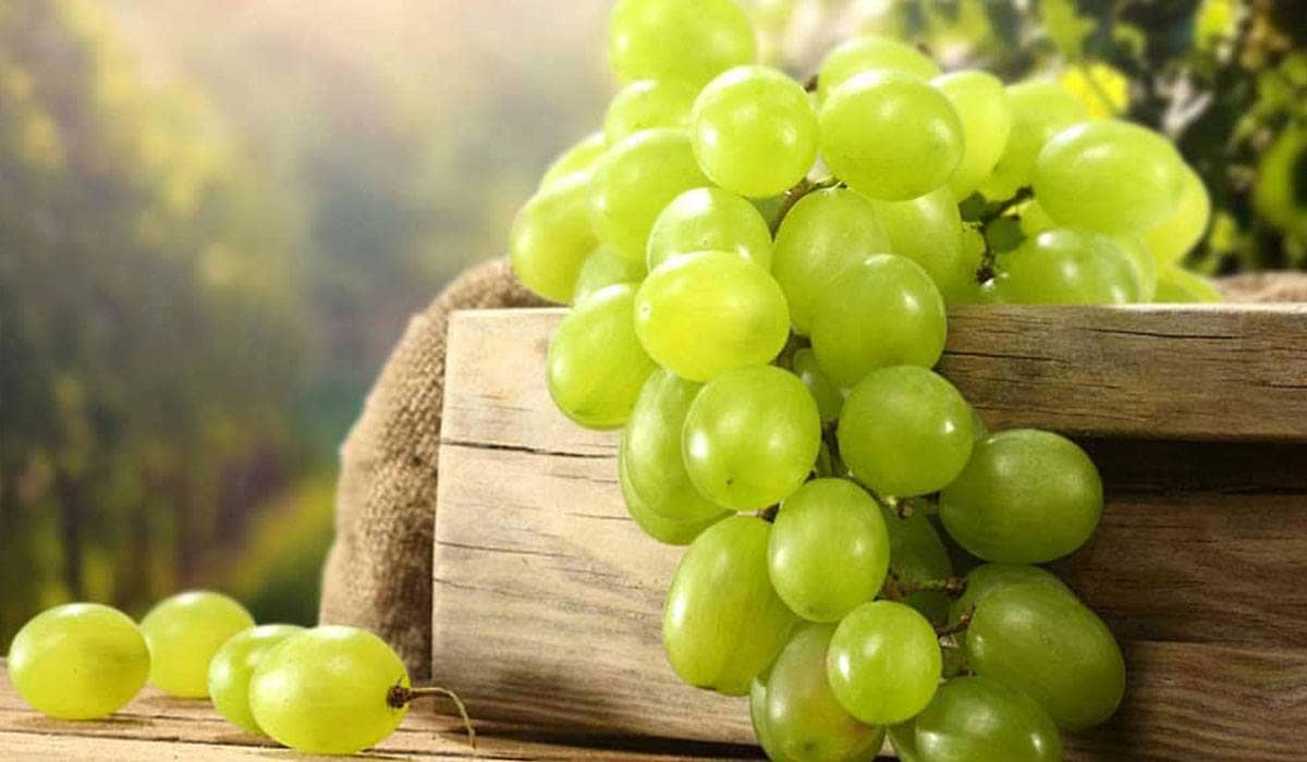 Buy and Current Sale Price of Shine Muscat Grape