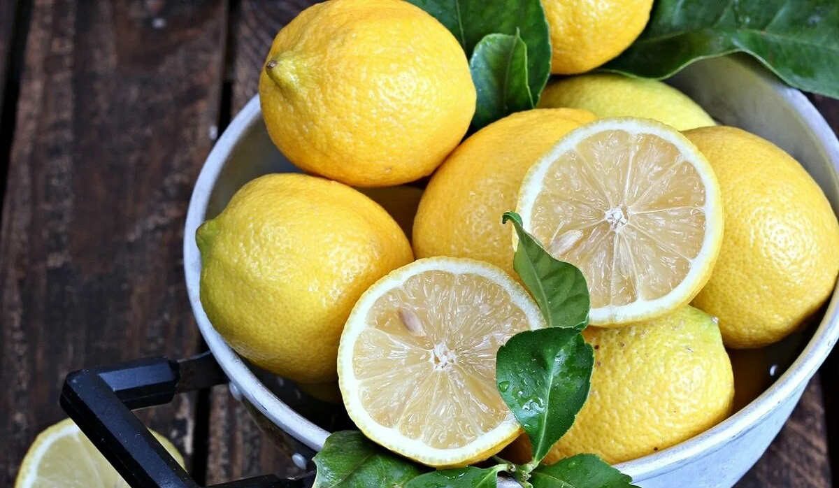 The best improved meyer lemon + Great purchase price
