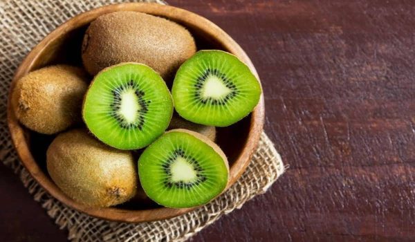 Purchase and Price of Kiwi Fruit Tree Types