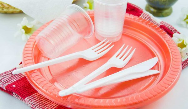 Purchase and Price of Plastic Plates and Bowels Types