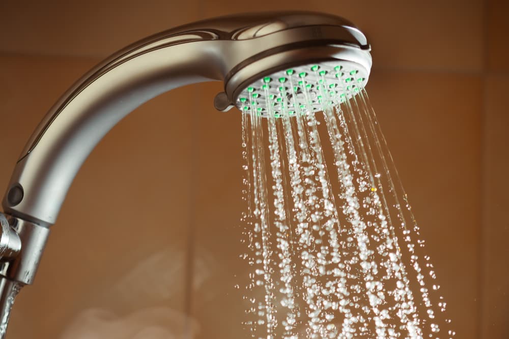 Purchase And Day Price of Jets Shower Head