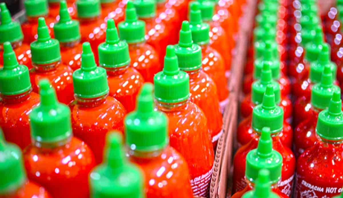 Price ketchup sauce + Wholesale buying and selling