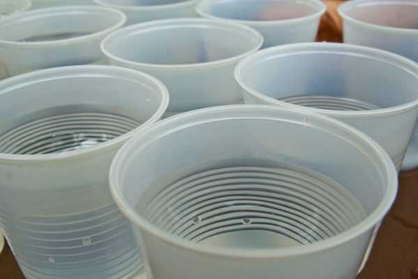 disposable plastic glasses for drinks are everyday items