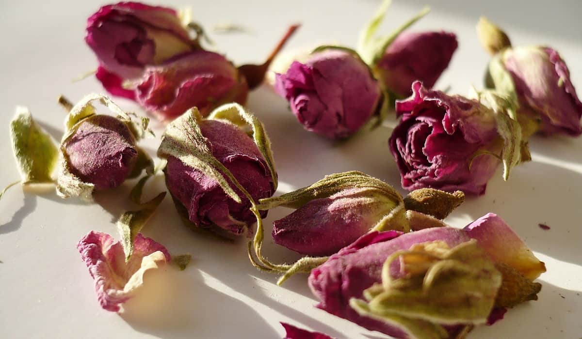 Buy dried rosebud recipes | Selling with Reasonable Prices