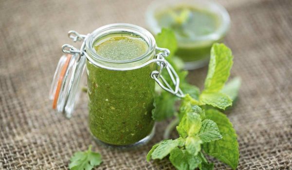 Buy Mint Sauce | Selling with Reasonable Prices