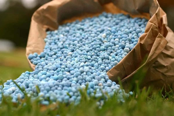 nano fertilizer products advantages and disadvantages