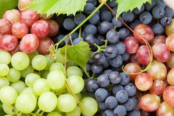 Types of Grapes Raisins + Benefits