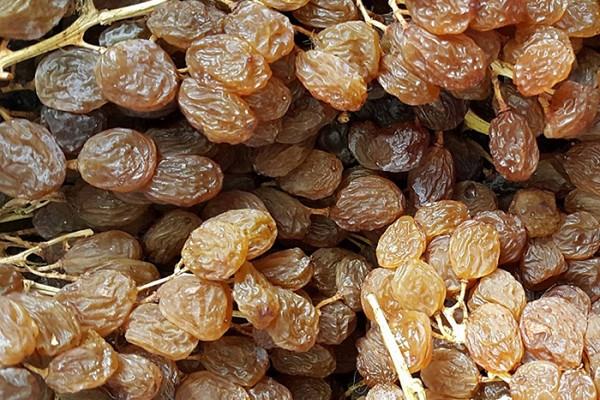 sun-dried grape raisins properties you should know