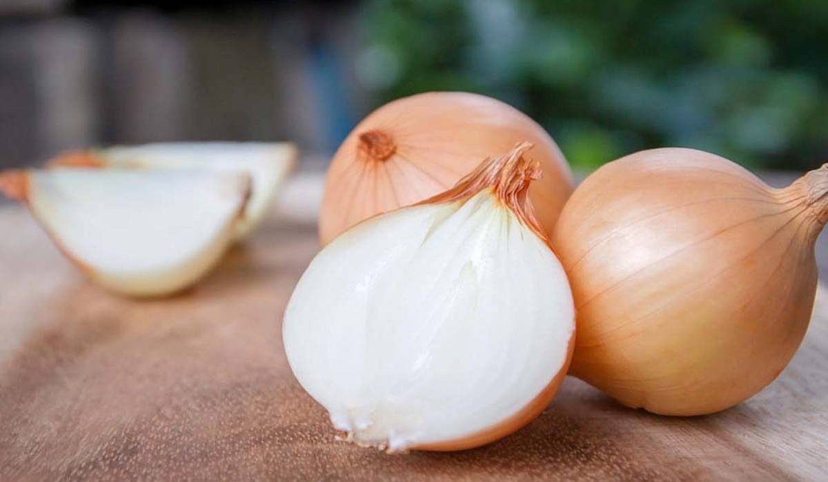 buy yellow onion | Selling With reasonable prices