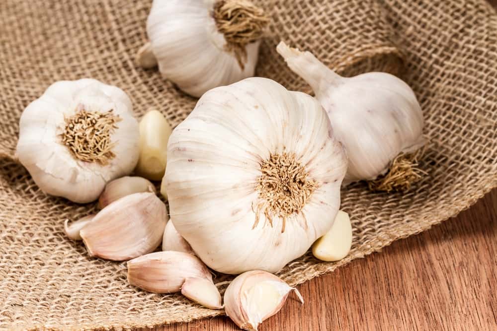 buy garlic for skin and hair + great price