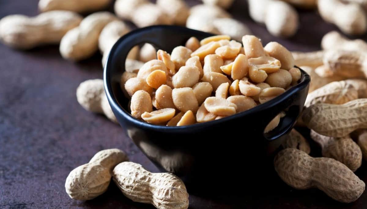buy babies peanut allergy cure + great price