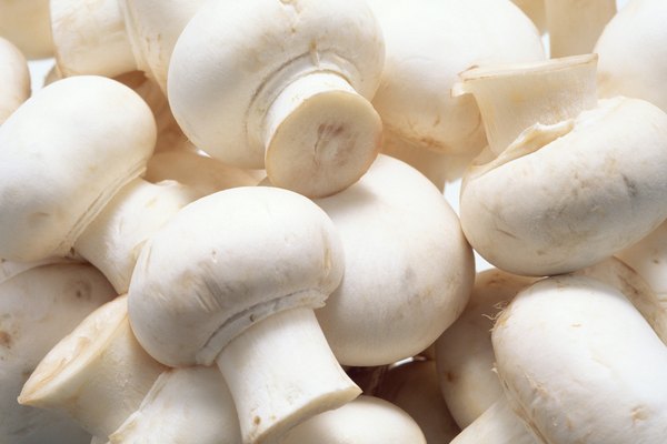white mushroom nutrition data