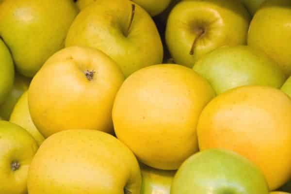 what is honeygold apple  + purchase price of honeygold apple