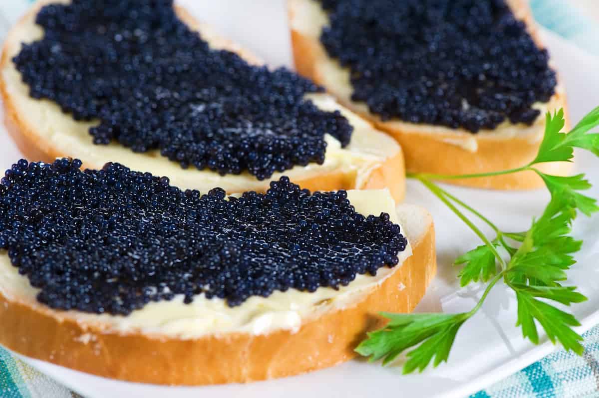 caviar is what comes from