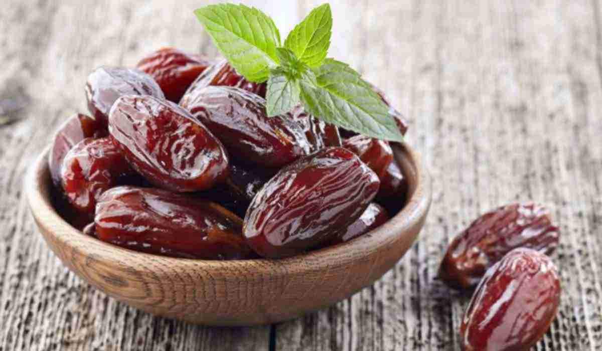 Best Ajwa date suppliers | buy at a cheap price