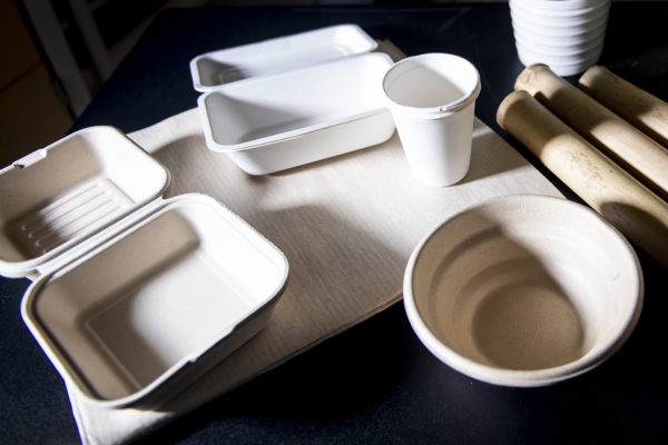 Buy Disposable Plastic Food Containers + Great Price