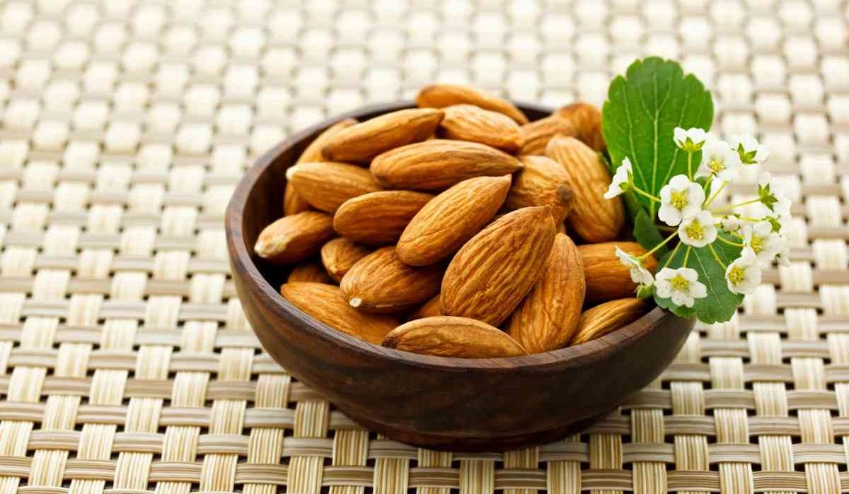 Buy Rabi Almond | Selling with Reasonable Prices