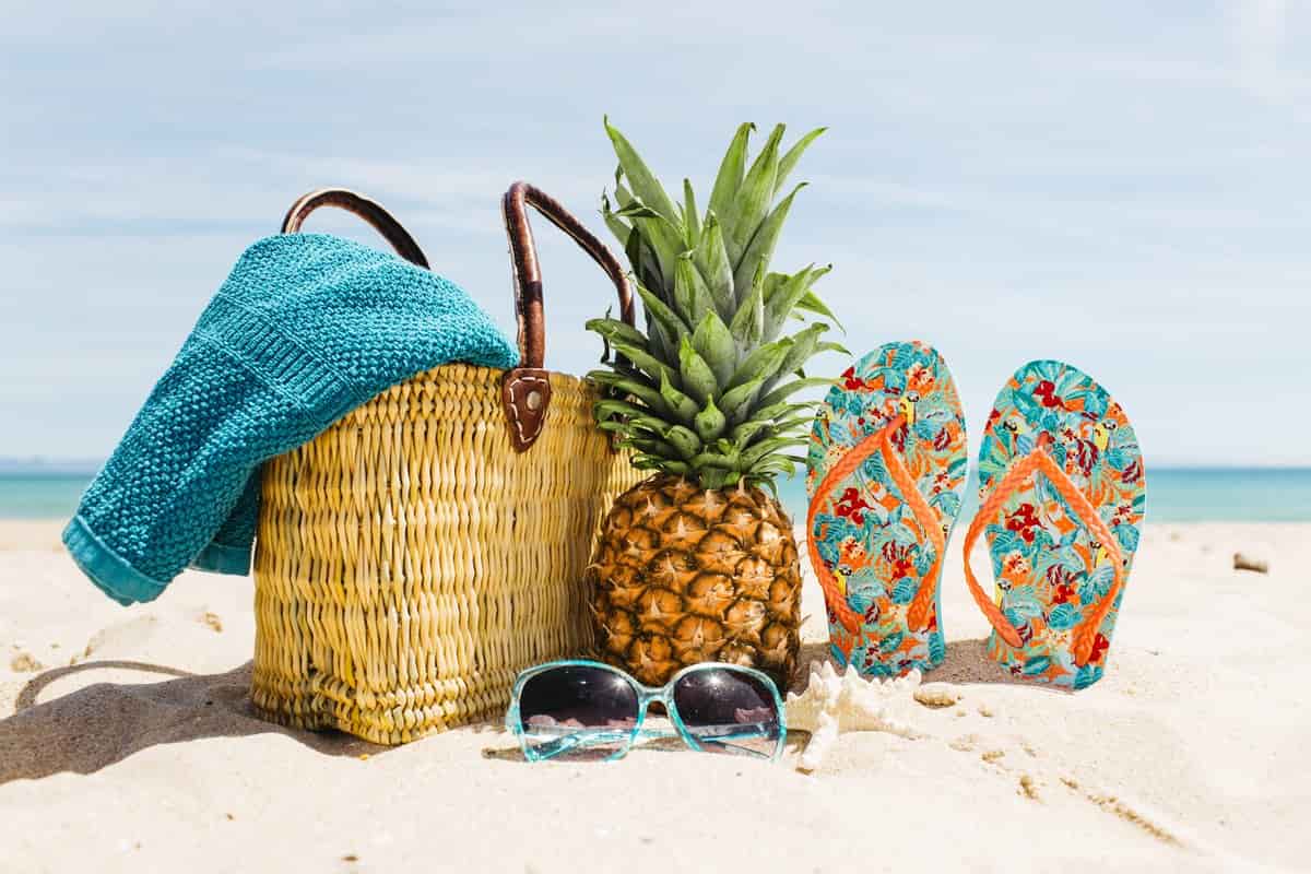 Buy and Current Sale Price of Summer Beach Bags