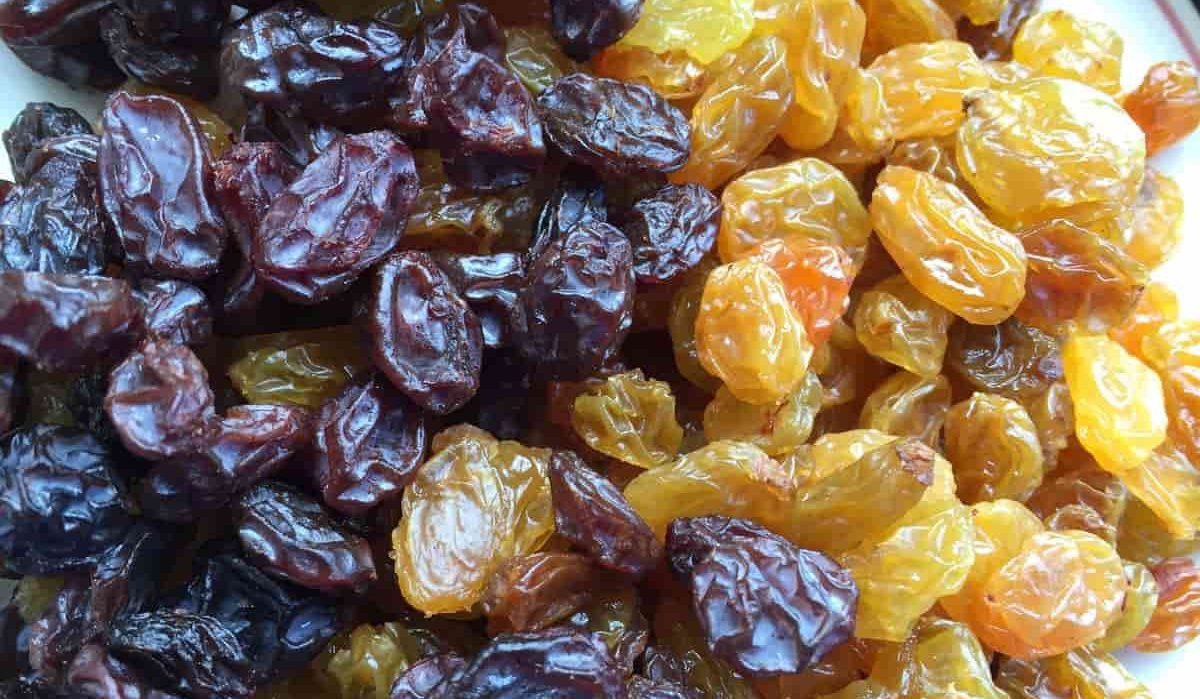 Purchase and Price of Exporting Raisins Pacakging Types