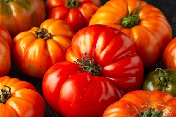 Beefsteak tomato seeds cultivation techniques you must know