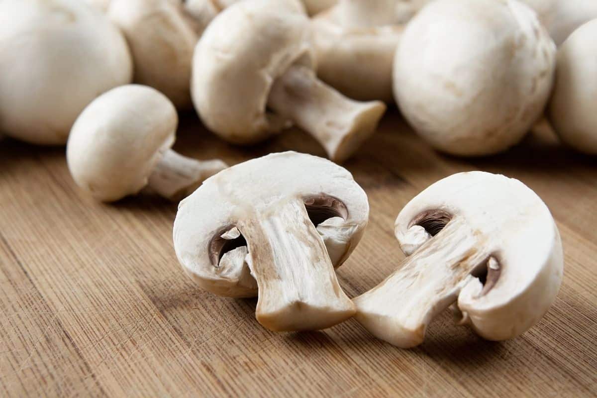 mushroom nutrition benefits for skin